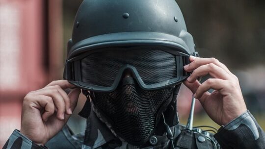 Gedehamsenes fald: Effektive metoder til at vinde krigen mod vepsene