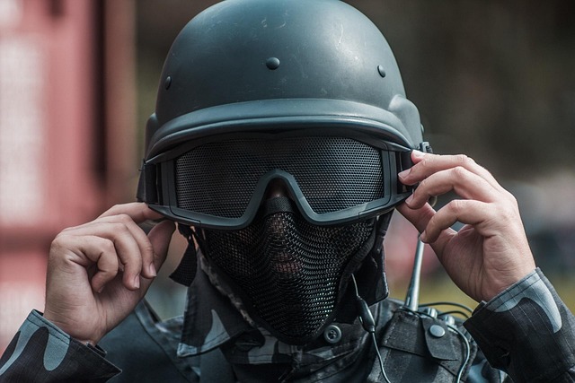 Gedehamsenes fald: Effektive metoder til at vinde krigen mod vepsene